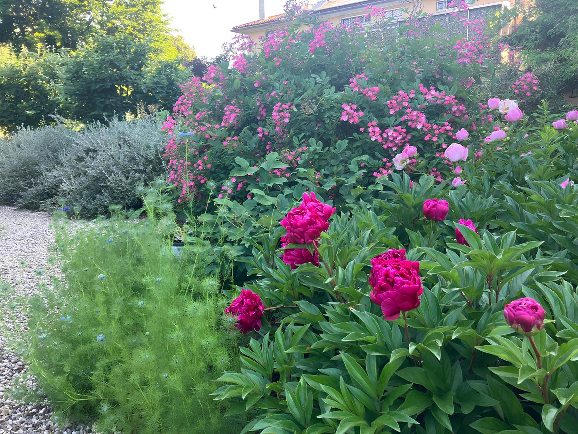 Casa Stucky Bed & Breakfast Udine Dış mekan fotoğraf