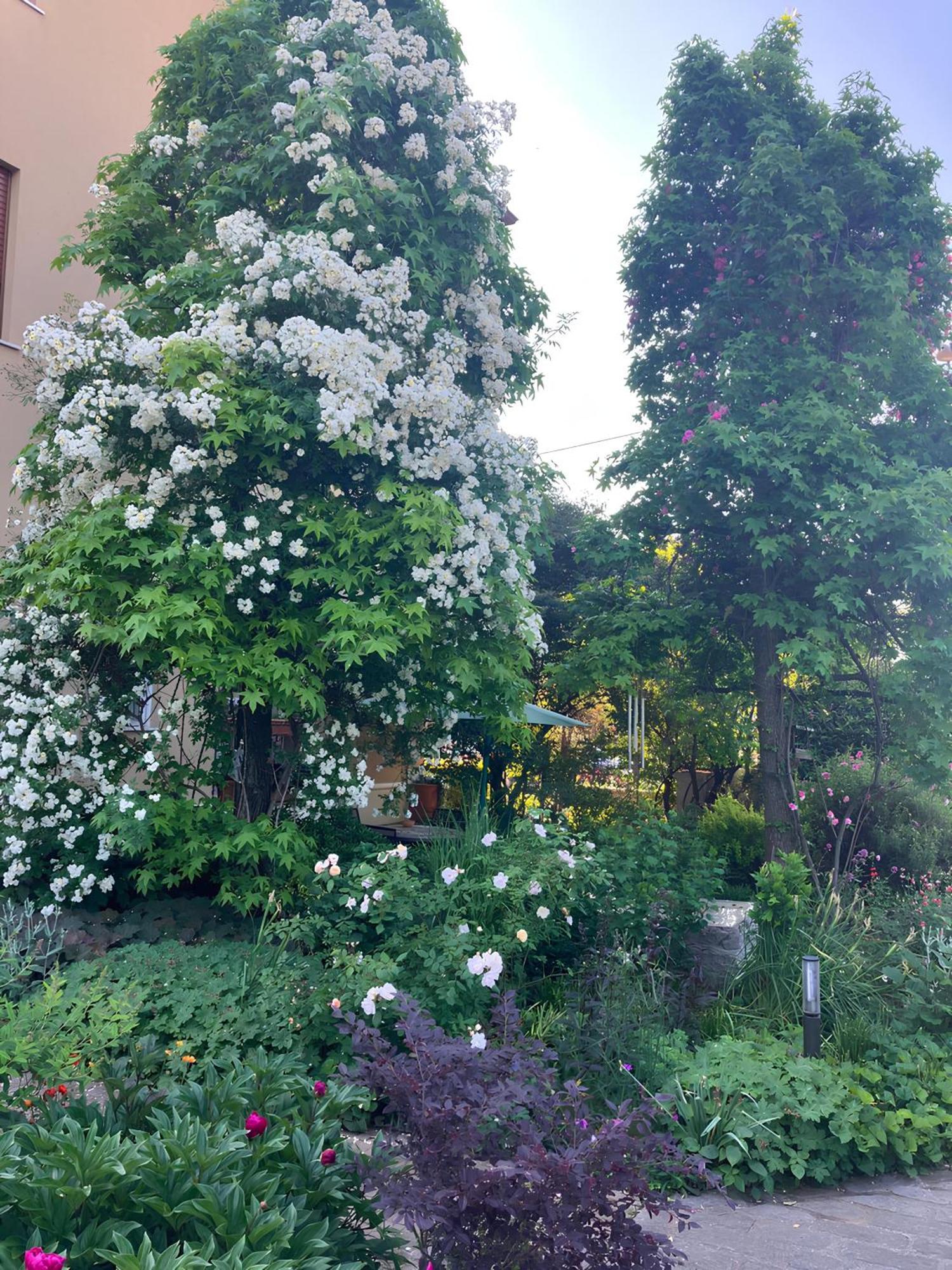 Casa Stucky Bed & Breakfast Udine Dış mekan fotoğraf